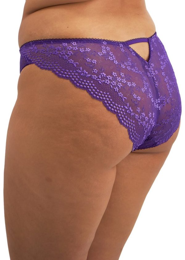 Elomi Brazilian Charley Iris