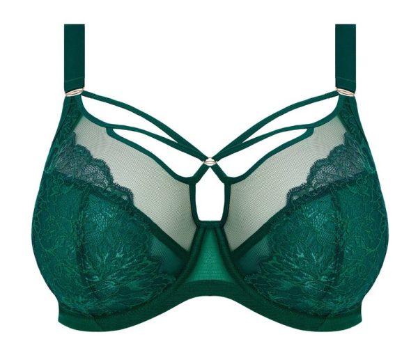 Elomi BH Brianna Rainforest