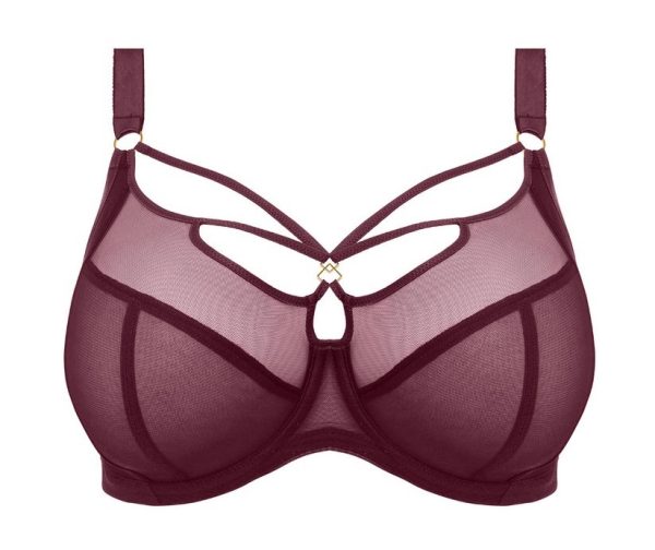 Elomi BH Sachi Cabernet