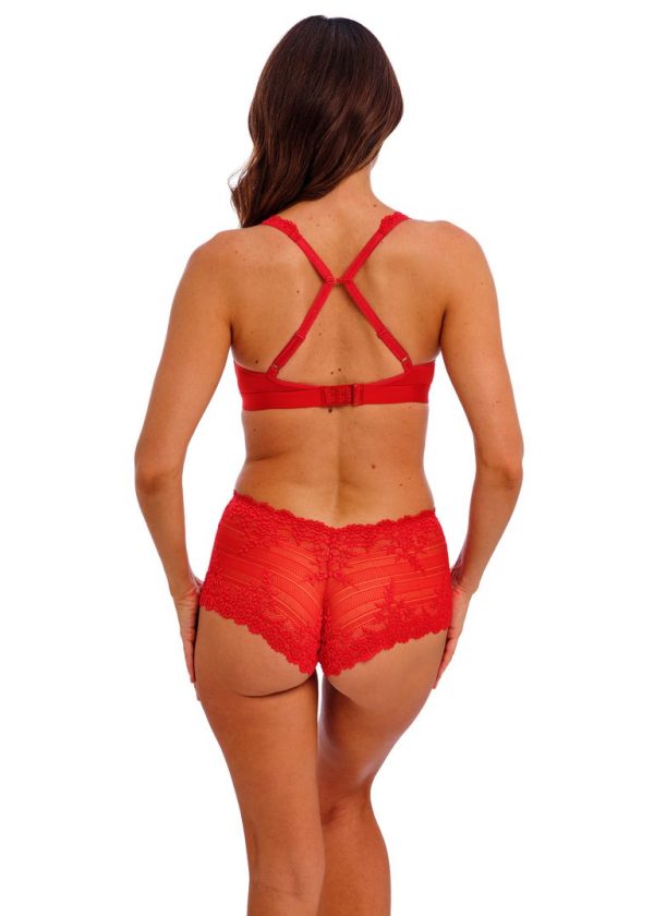 Short Embrace Lace Equestrian