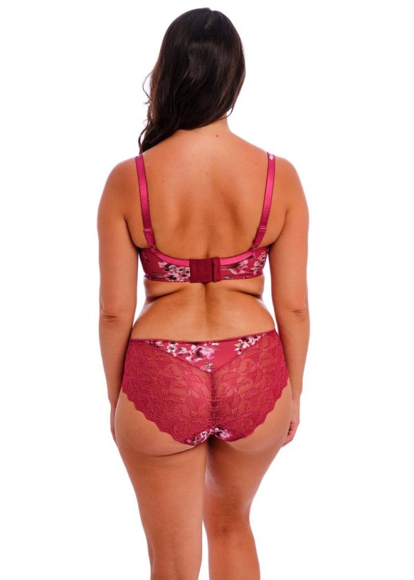 Fantasie Short Lucia Cherry