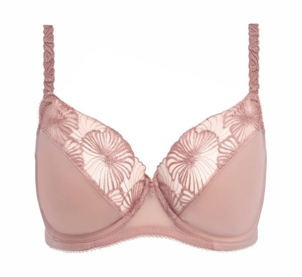 BH Cateline Aspen Rose