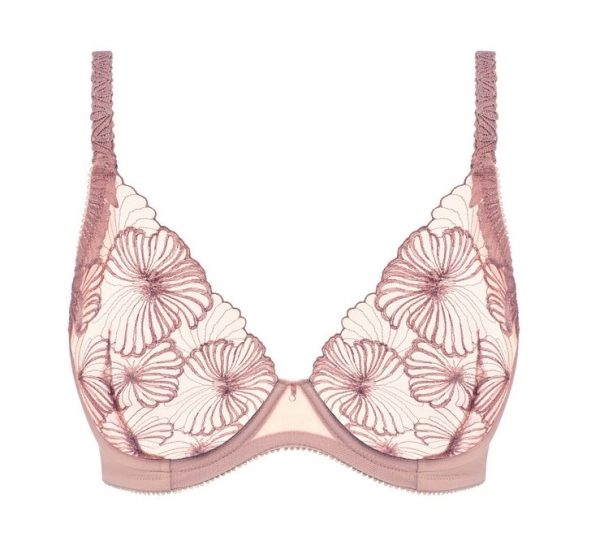 BH Cateline Aspen Rose